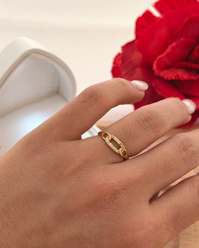 Anillo Rectángulo